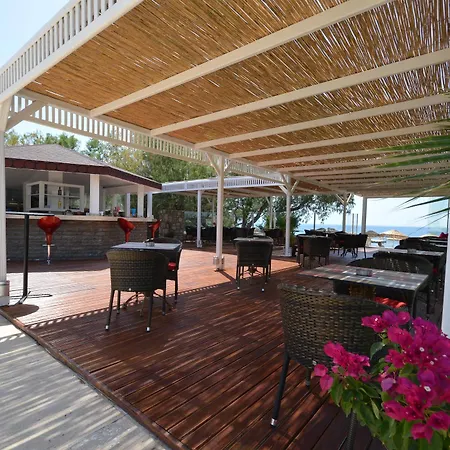 Hotel Zemda 3*